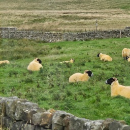 schottland rundreise 2023_9